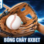 Bóng chày 8xbet